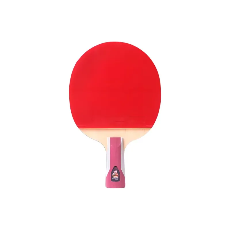 DHS Ping Pong Paddles-11