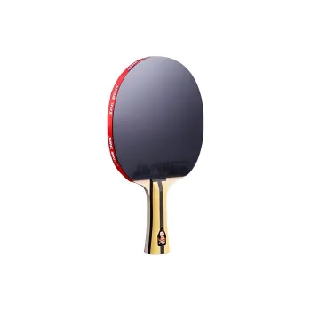 DHS Ping Pong Paddles