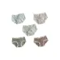 5 Pack (Blue+Taro Purple+Green+Dark Green+Coffee)
