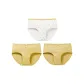 3 Pack (Yellow/White/Golden Autumn Yellow/Osmanthus Yellow)