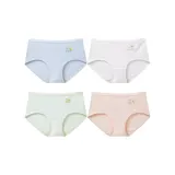 4 Pack (Light Blue/White/Light Pea Green/Light Pink)