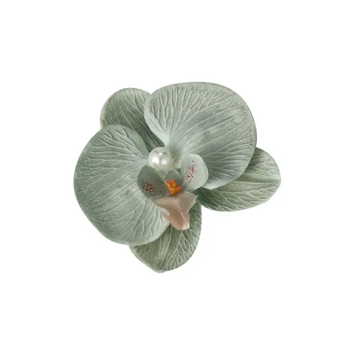 Specialoutlook Hair Clips Women's