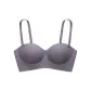 Gray Purple