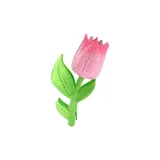 [Tulip]
