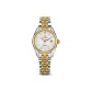 21RE-850-6T15-WHGDST( Women's )
