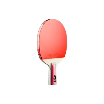 DHS Ping Pong Paddles