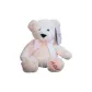Shuili Bear
