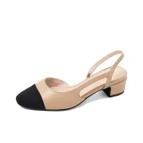 Apricot (1.6 inch)