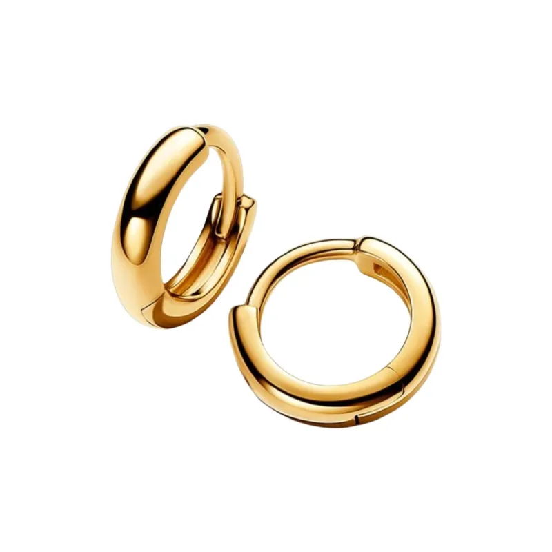 Pandora Earrings Women's-0