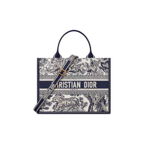 DIOR BookTote Handbags