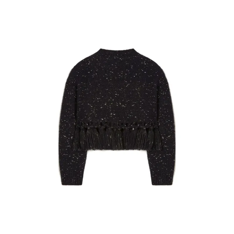 Alanui Crewneck Fringe Detailed Sweater-1