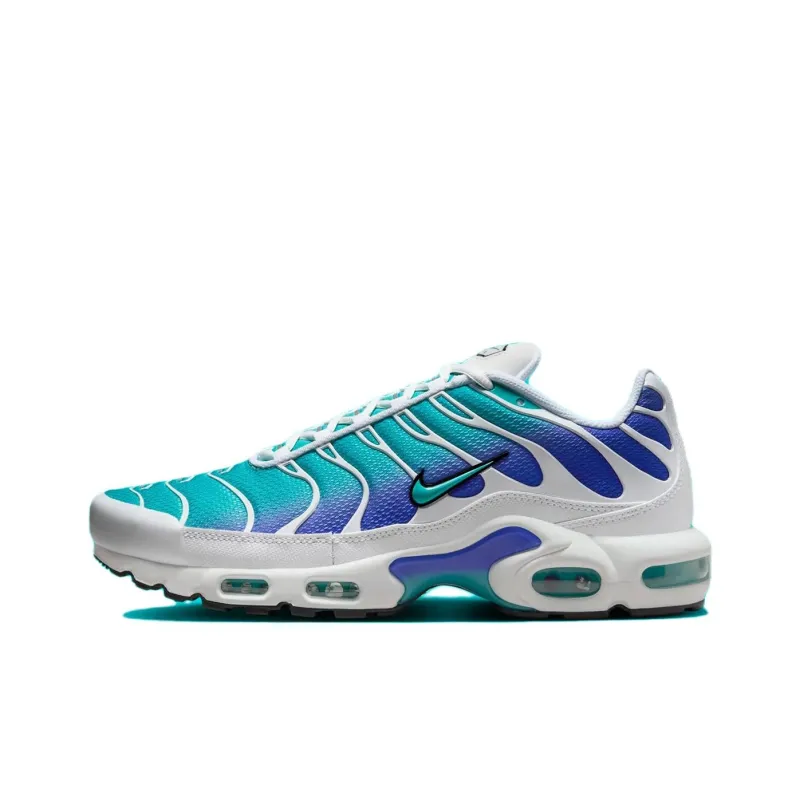 Nike Air Max Plus Aqua-0