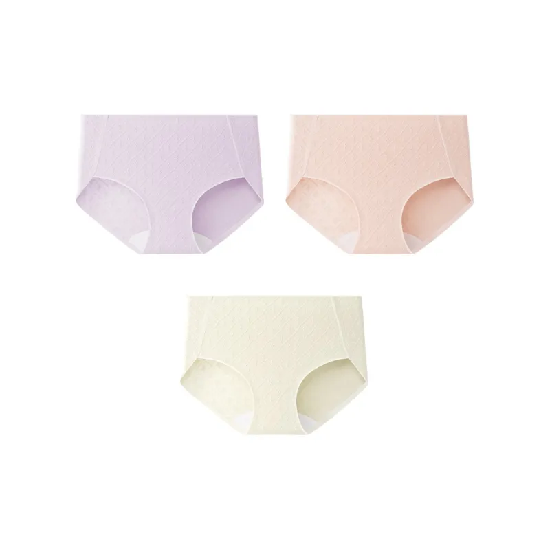 GRACEWELL Underpants Women's 3 Pack-19