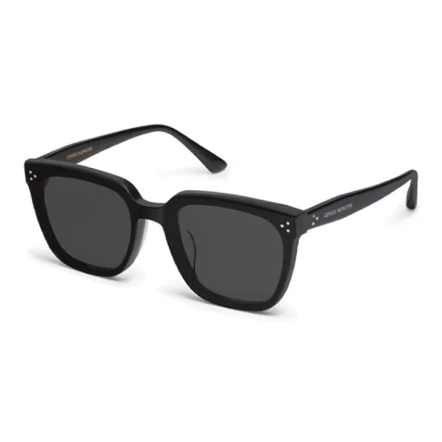 GENTLE MONSTER Palette Tinted Sunglasses