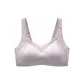 LS-161/Taro Purple