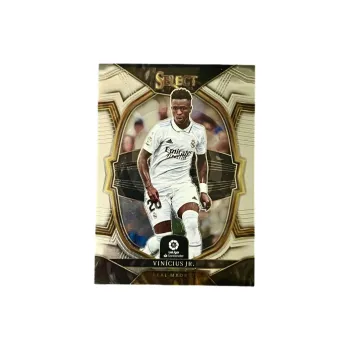 PANINI Vinicius Player Card, Bear Real Madrid Collectible Card Sports Cards 1 Pc