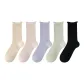 5 Pack (Apricot+Purple+Light Pink+Mustard Green+Light Blue)