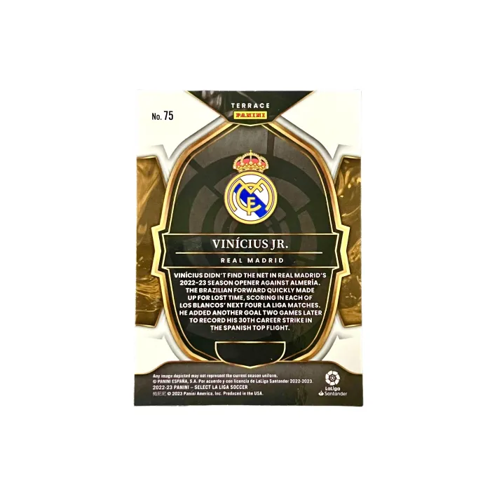 PANINI Vinicius Player Card, Bear Real Madrid Collectible Card Sports Cards 1 Pc-1