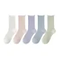 5 Pack (Milk White+Purple+Light Pink+Light Blue+Mustard Green)