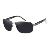 LS1003-C01 (Gray Lens)