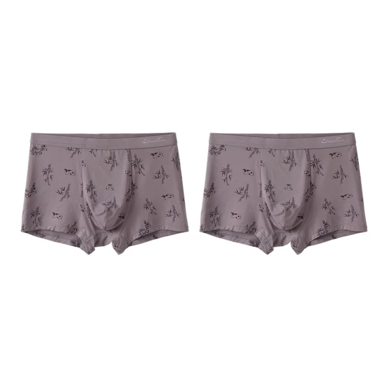 The New Age Family Underpants Men's 2 Pack-4