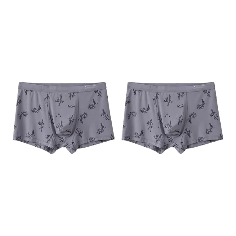 The New Age Family Underpants Men's 2 Pack-6
