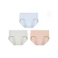 3 Pack (Green Blue Skin)