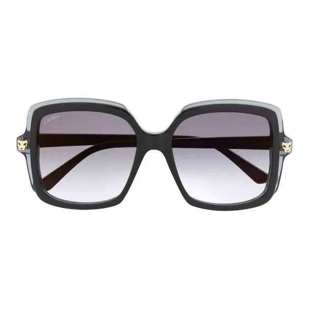 Cartier Squared Oversize Frame Sunglasses-1