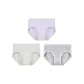 3 Pack (Gray, Purple, Green)