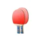 2-Star, Shakehand Grip+Penhold Grip (Blue Controller)+Racket Bag 2+Ball 6+Sandpaper+Protective Film