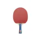 Double Fish Training Type, Shakehand Grip Single Racket+Original Racket Bag