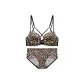 Leopard Print Clothing Sets (2-Piece Set)