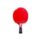 Middle School Entrance Exam Standard Use Samsung (Shakehand Grip)