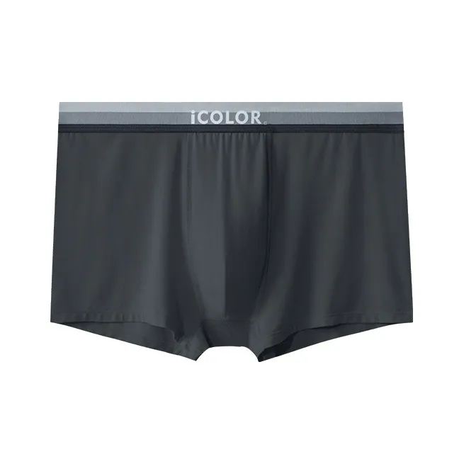 Icolor Underpants Men's Combo Set-2