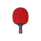 Double Fish 8-Star Professional, Penhold Grip[Single Racket]+Racket Cover 1+Ball 12+Edge Guard+Protective Film+Grip Tape