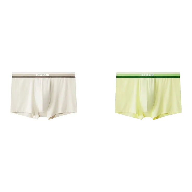 Icolor Underpants Men's Combo Set-12