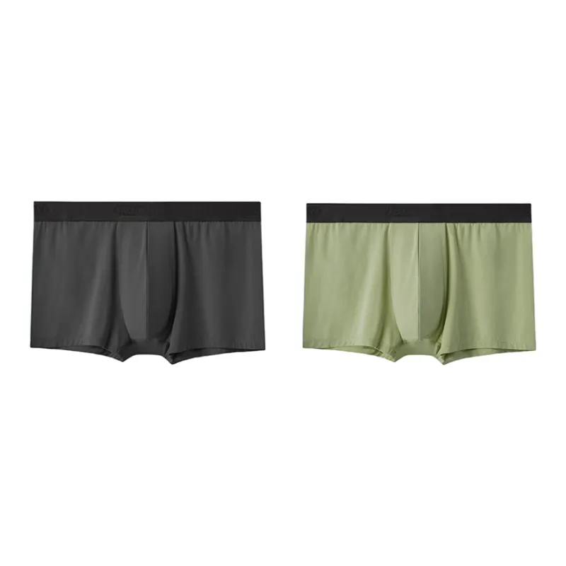 Icolor Underpants Men's Combo Set-11