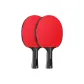 Double Fish Kirin Wood, Shakehand Grip[Double Rackets]+Racket Cover 1+Ball 12