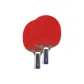 Double Fish 9-Star Ultra Grade, Penhold Grip[Double Rackets]+Racket Cover 1+Ball 12+Edge Guard+Protective Film+Grip Tape