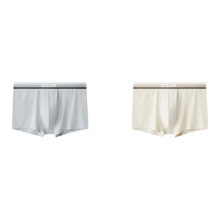 Icolor Underpants Men's Combo Set-6
