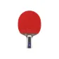 Double Fish 9-Star Ultra Grade, Penhold Grip[Single Racket]+Racket Cover 1+Ball 12+Edge Guard+Protective Film+Grip Tape
