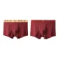 2 Pack (Apricot Base Colorful Lion+Maroon Apricot Lion)