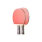 3-Star, Shakehand Grip+Penhold Grip (Black Controller)+Racket Bag 2+Ball 6+Sandpaper+Protective Film
