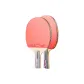 3-Star, Shakehand Grip+Penhold Grip (Gray Controller)+Racket Bag 2+Ball 6+Sandpaper+Protective Film