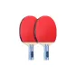 Double Fish Kirin Water, Penhold Grip[Double Rackets]+Racket Cover 1+Ball 12