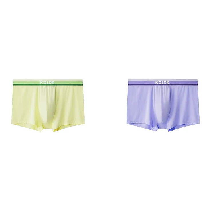 Icolor Underpants Men's Combo Set-11