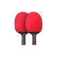 Double Fish Kirin Gold, Penhold Grip[Double Rackets]+Racket Cover 1+Ball 12
