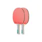 2-Star, Shakehand Grip/2 Pcs (Gray Controller)+Racket Bag 2+Balls 6+Sandpaper+Protective Film