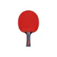 Double Fish 8-Star Professional, Shakehand Grip[Single Racket]+Racket Cover 1+Ball 12+Edge Guard+Protective Film+Grip Tape