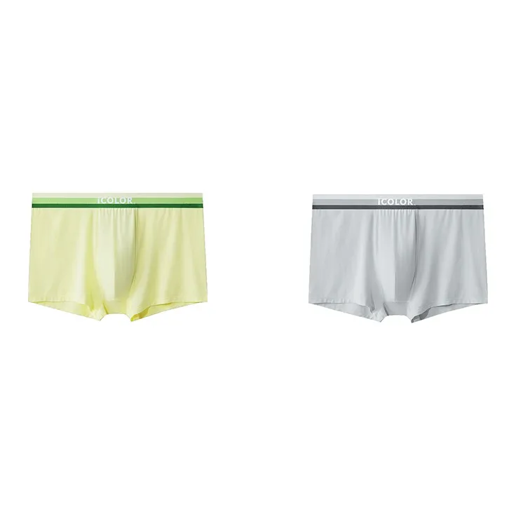 Icolor Underpants Men's Combo Set-10